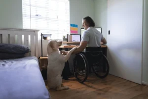 A man in a wheelchair using his computer to research funding options. Find out which is right for you: Pegasus Legal Capital or Baker Street Funding.